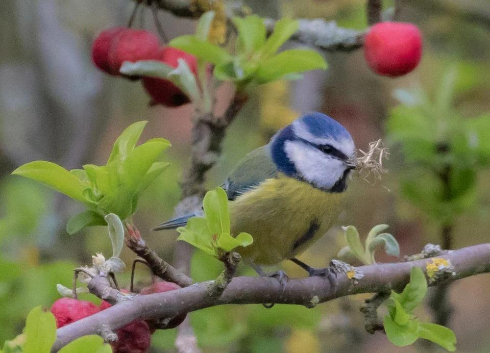 Người tuổi Hợi sinh tháng Âm lịch nào thì số phận may mắn?-2