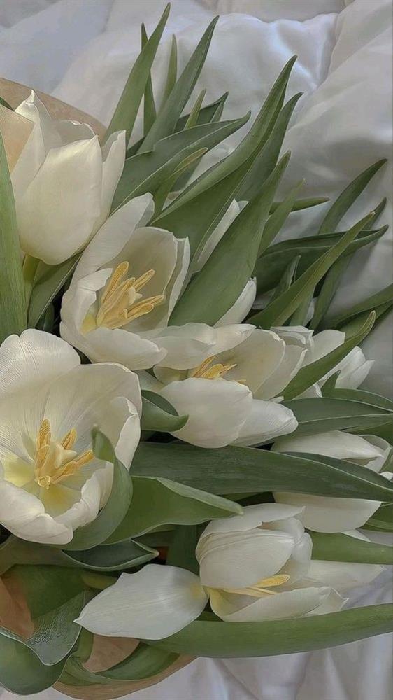 Tử vi 12 con giáp ngày 12/7/2022: Tuất chớ xem nhẹ!-4