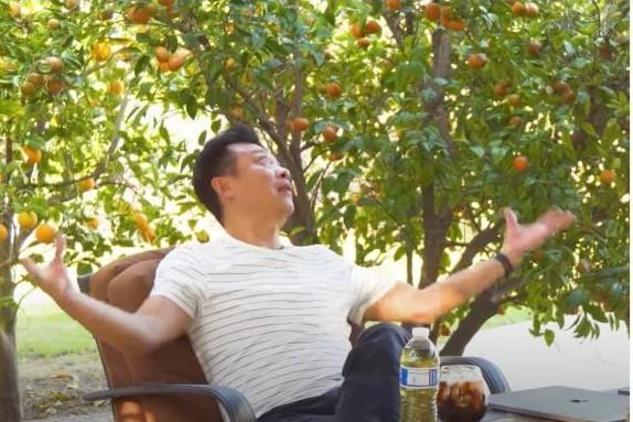 Khu vườn 1.200m2 trĩu quả trong nhà danh hài Vân Sơn ở Mỹ-2