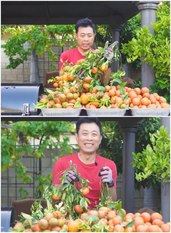 Khu vườn 1.200m2 trĩu quả trong nhà danh hài Vân Sơn ở Mỹ-9