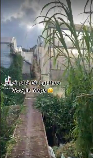 Đi cà phê ở Đà Lạt, đôi bạn dở khóc dở cười khi tin chị Google-2