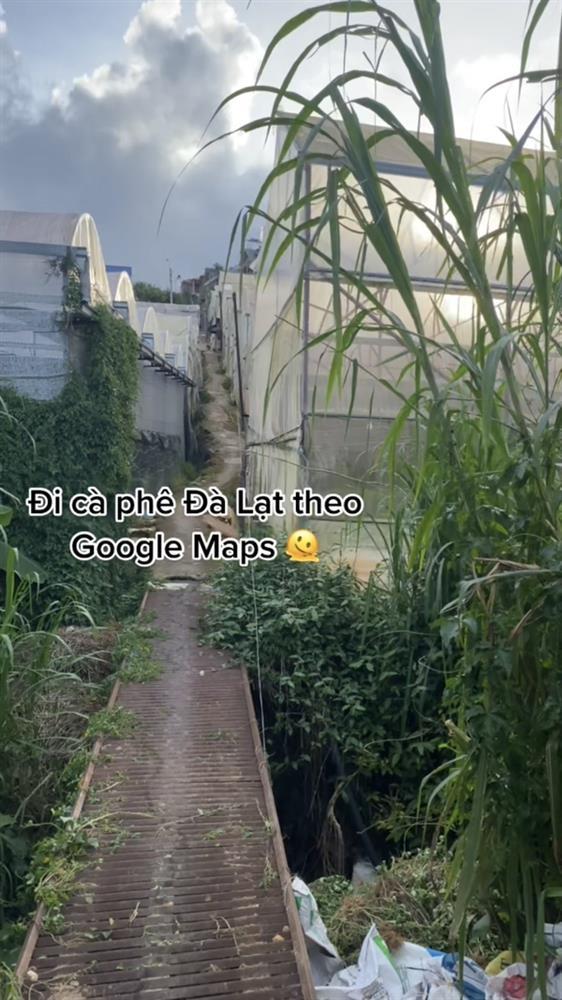 Đi cà phê ở Đà Lạt, đôi bạn dở khóc dở cười khi tin chị Google-3