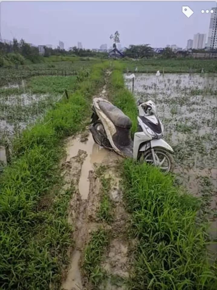 Đi cà phê ở Đà Lạt, đôi bạn dở khóc dở cười khi tin chị Google-5