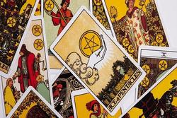 Bói bài Tarot thứ Năm ngày 14/7/2022: Xương rồng trước bão