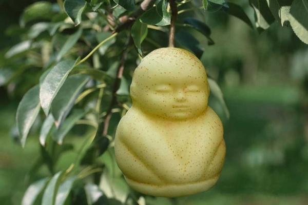 Học lỏm cách mix nước ép sáng da, đẹp dáng cực chuẩn của mẹ 9x-13