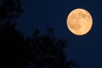 Nhiều người thích thú chia sẻ hình ảnh siêu trăng sấm xuất hiện tối qua-12