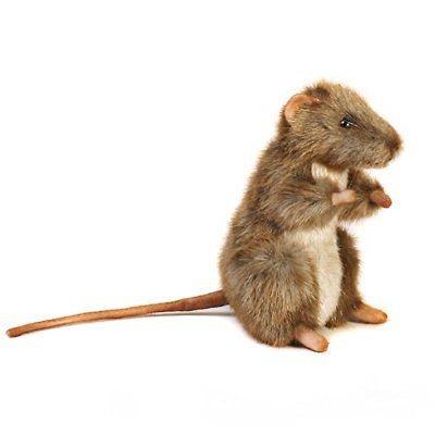 Tử vi hàng ngày của 12 con giáp thứ Năm ngày 14/7/2022: Dần khai tài vận-1