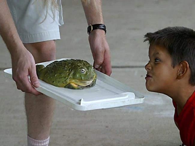 Những món hải sản nhiều độc tố đặc biệt lưu ý khi đi du lịch nước ngoài-4