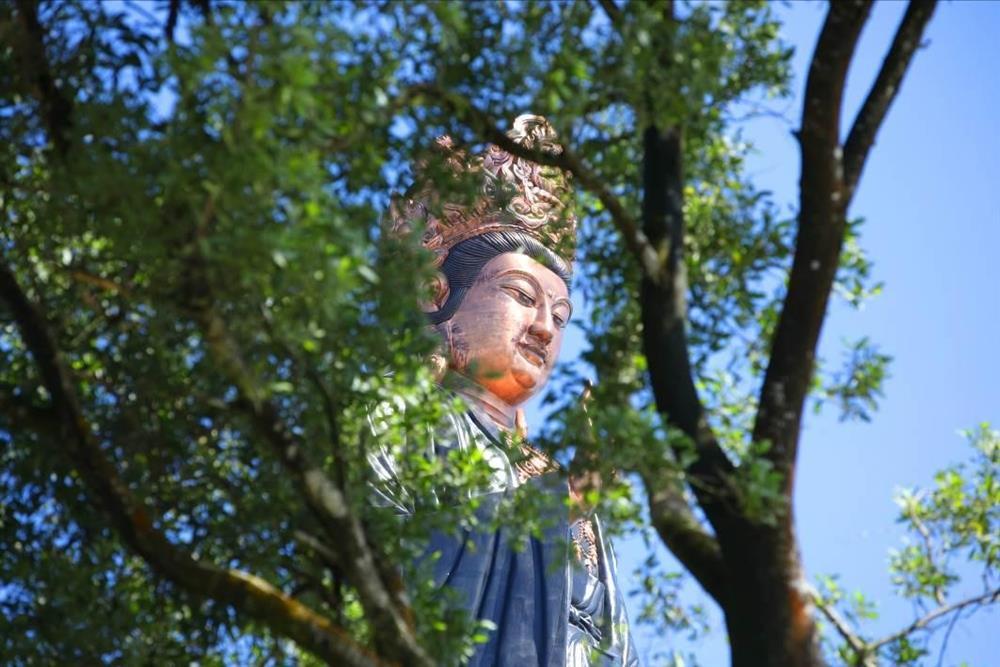 Tân Hoa hậu Hoàn vũ Việt Nam rạng rỡ trở về Tây Ninh-3