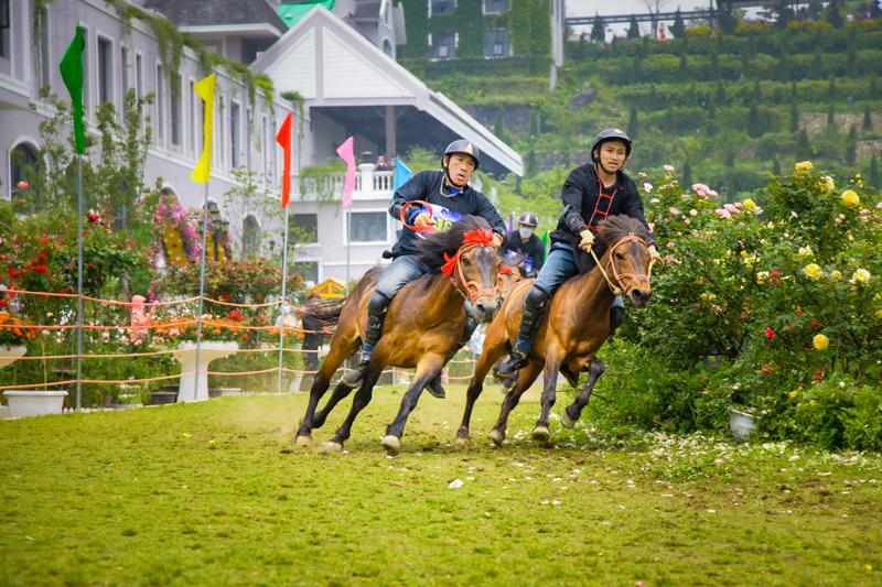 Tháng 7, dự giải đua ‘Vó ngựa trên mây’ dưới chân núi Fansipan-1