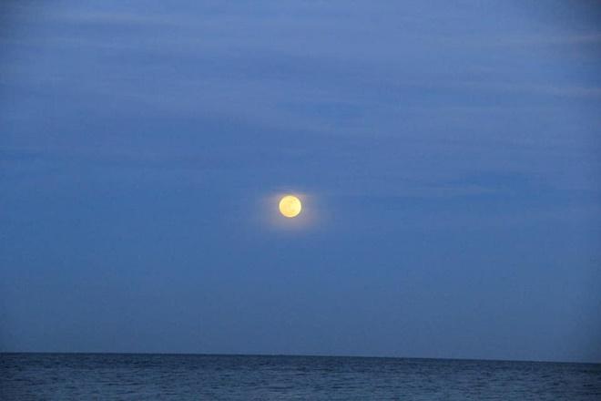 Nhiều người thích thú chia sẻ hình ảnh siêu trăng sấm xuất hiện tối qua-5