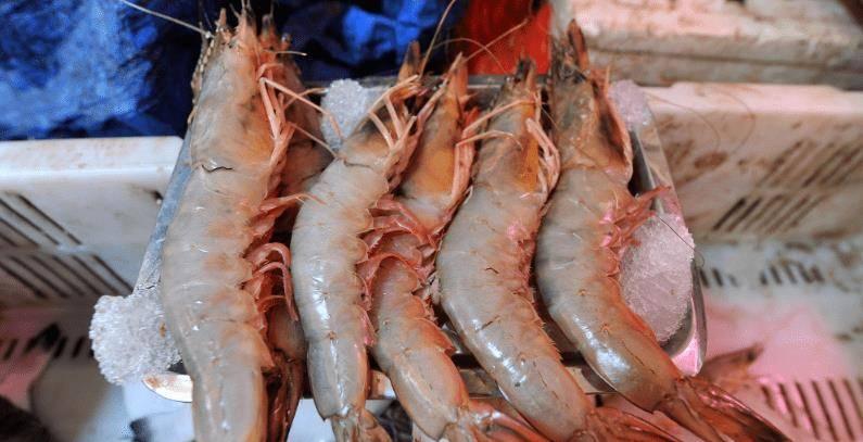 Đi chợ gặp 3 loại tôm này tránh xa, đừng ham rẻ kẻo rước họa-1