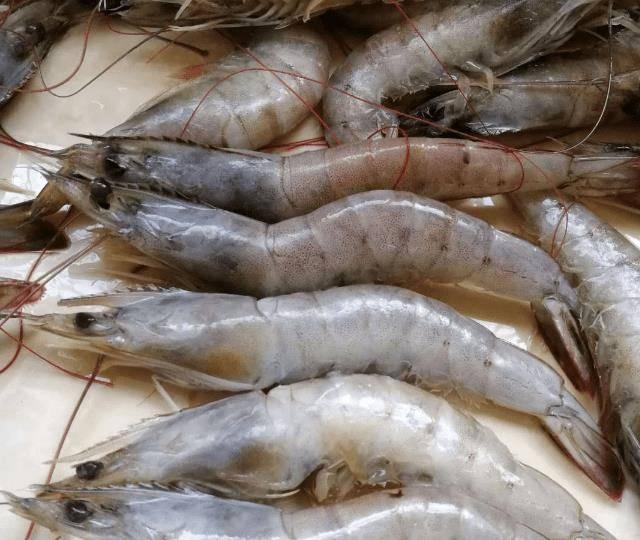 Đi chợ gặp 3 loại tôm này tránh xa, đừng ham rẻ kẻo rước họa-2