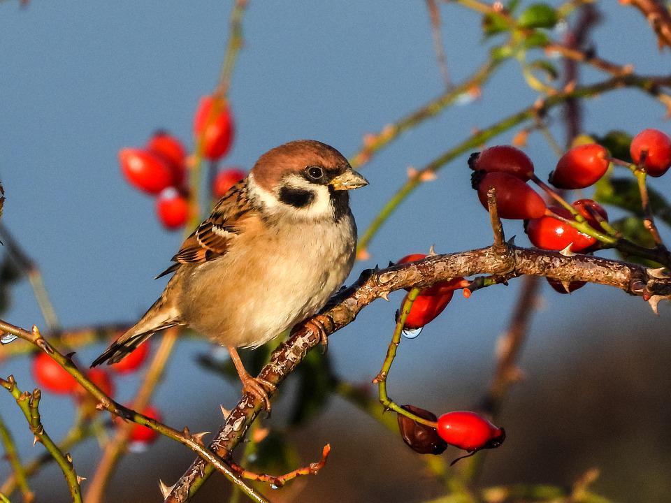 Phụ nữ sinh tháng Âm lịch này vượng phu ích tử, con cháu sum vầy-3