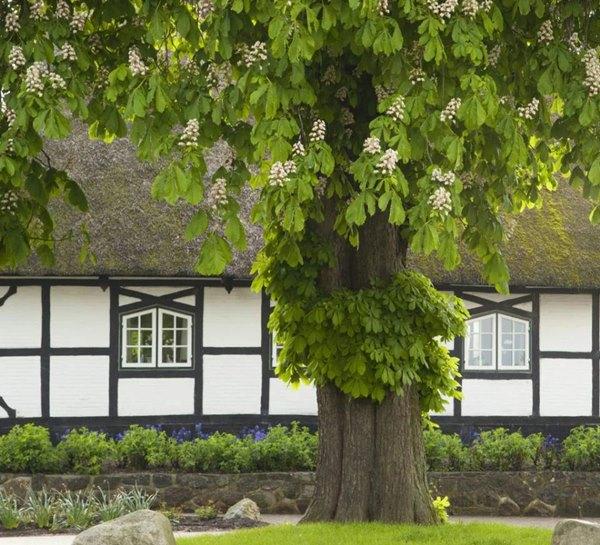 Những đại kỵ ngoài cửa sổ ảnh hưởng vận trạch, Thần Tài chán ghét-1