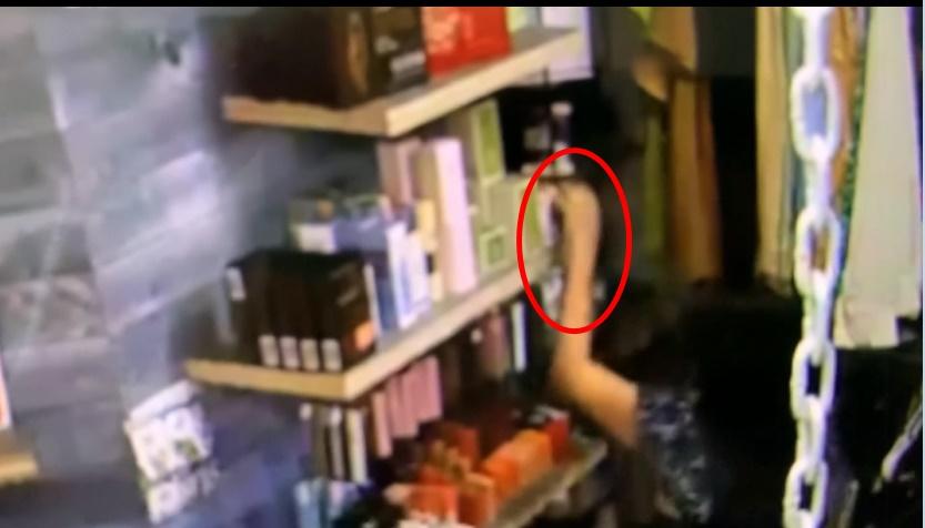 Mẹ đẻ Ngọc Quyên giúp con gái bắt trộm tại trận ở Mỹ-4