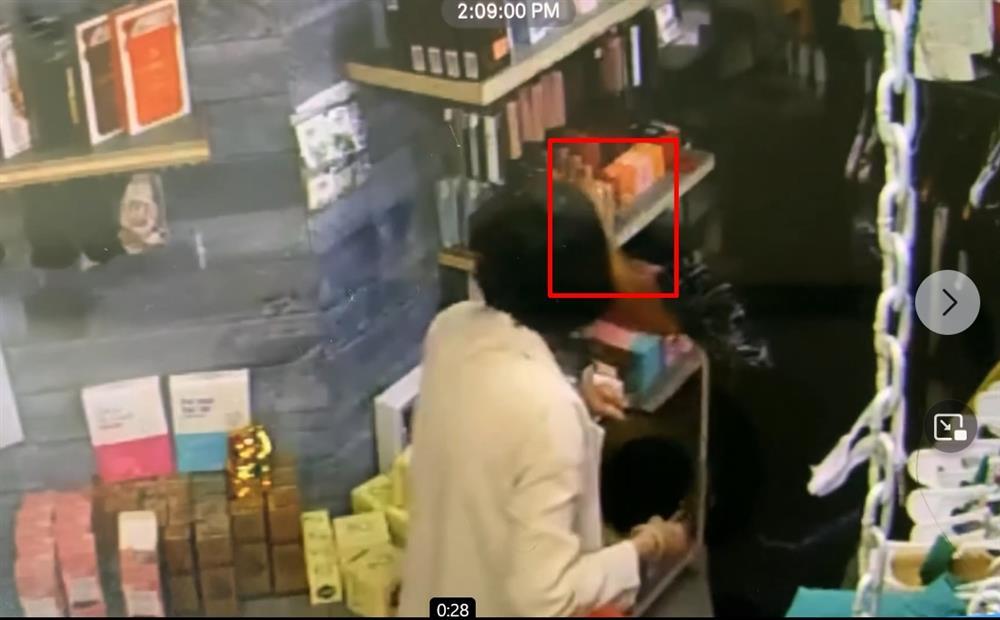 Mẹ đẻ Ngọc Quyên giúp con gái bắt trộm tại trận ở Mỹ-8