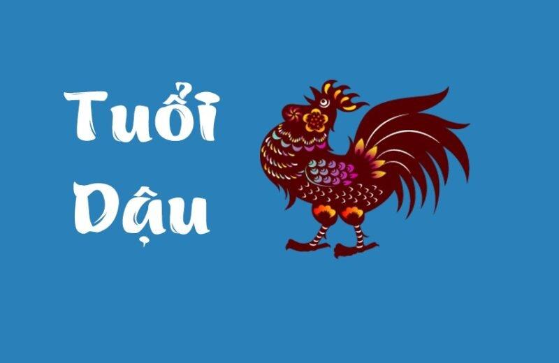 Tử vi tuần mới 12 con giáp từ 18/7/2022- 24/7/2022: Hung cát đan xen-3