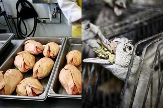 Món ăn bị cấm vì độ tàn nhẫn nhưng giới quý tộc vẫn săn lùng