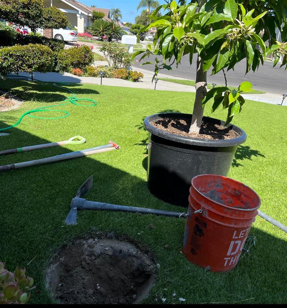 Vua cá Koi muốn sang Mỹ định cư với vợ trẻ Hà Thanh Xuân?-2