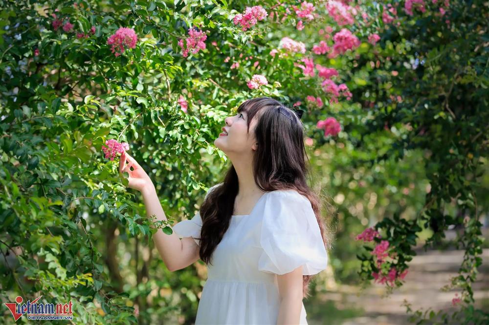 Lặn lội từ 6h sáng để có mặt ở Hà Nội chụp ảnh với hoa tường vi-2