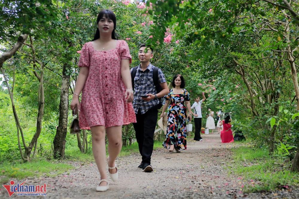 Lặn lội từ 6h sáng để có mặt ở Hà Nội chụp ảnh với hoa tường vi-3