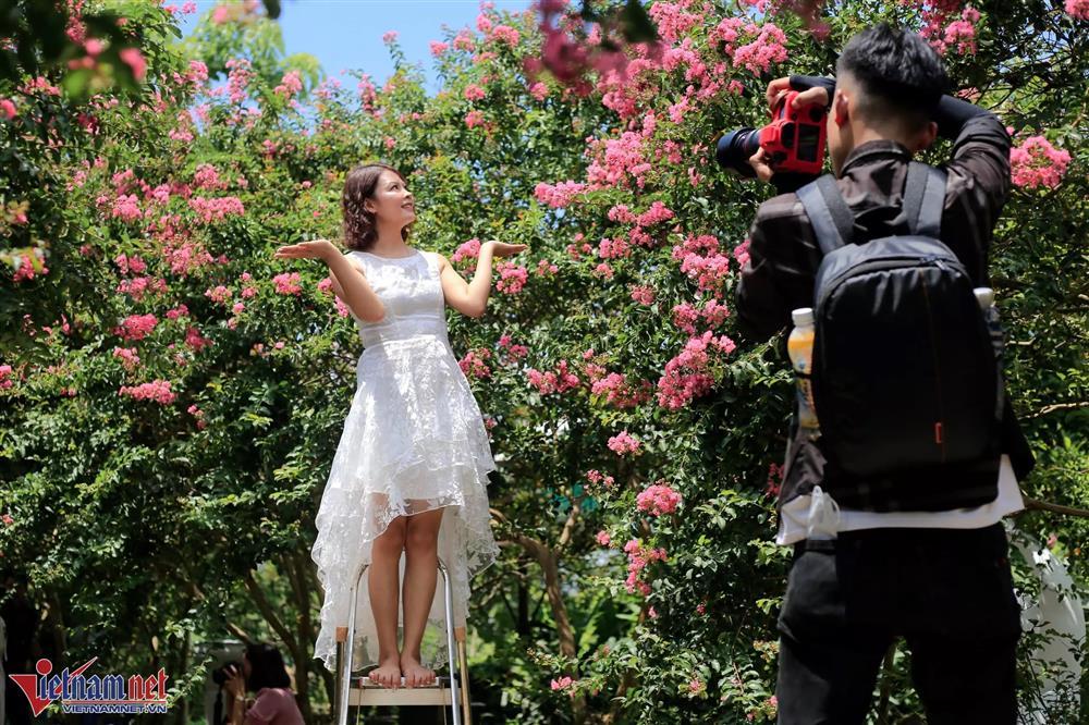 Lặn lội từ 6h sáng để có mặt ở Hà Nội chụp ảnh với hoa tường vi-8