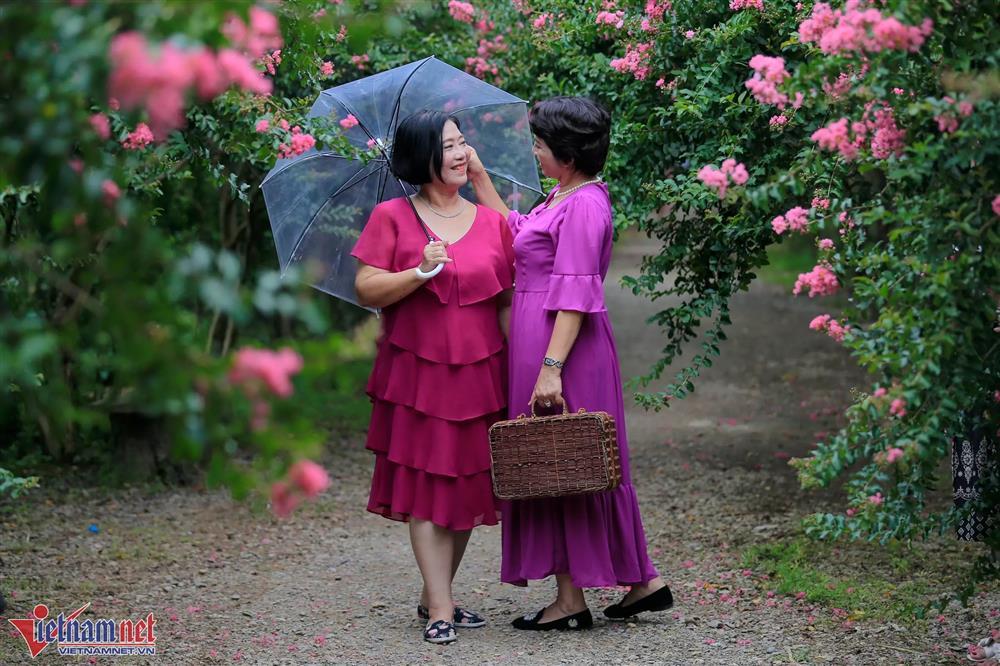 Lặn lội từ 6h sáng để có mặt ở Hà Nội chụp ảnh với hoa tường vi-9