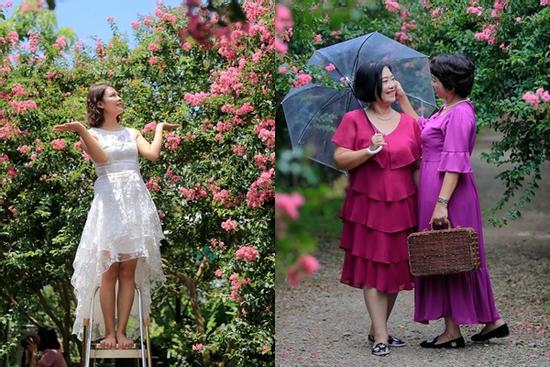 Lặn lội từ 6h sáng để có mặt ở Hà Nội chụp ảnh với hoa tường vi