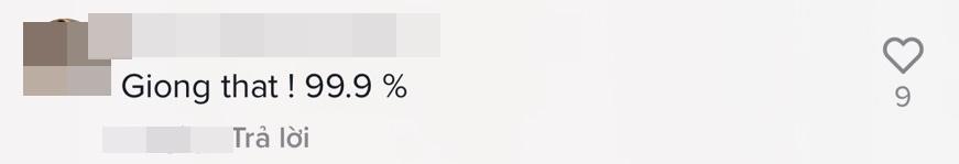 Bản sao Hà Hồ tái xuất, giống 99% không phân biệt nổi-6