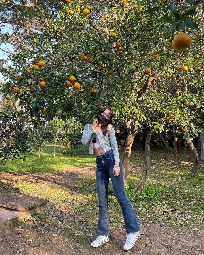 Nhiều người đổ xô đi Hàn Quốc, lưu ngay 4 hòn đảo để không bỏ lỡ-3