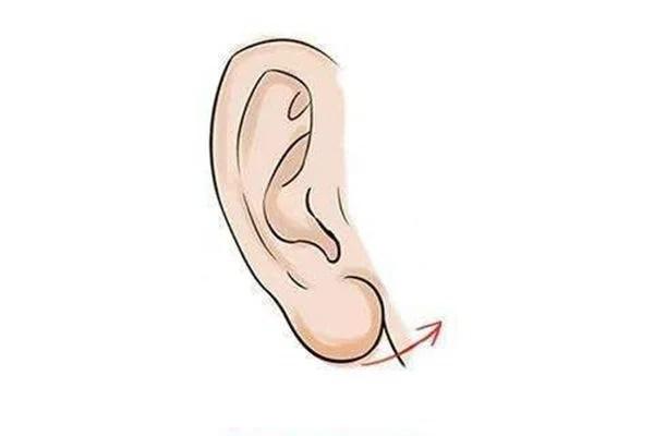 Đàn ông sở hữu 1 trong 3 tướng tai phúc sâu lộc dày, công danh xán lạn-2