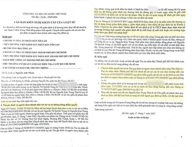 Kiến nghị chuyển tội danh Nguyễn Kim Trung Thái sang Giết người-2