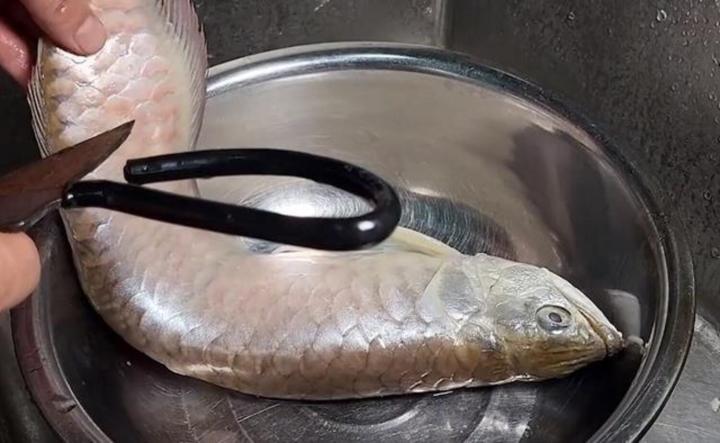 Màn xử lý cá rồng bị chết vừa bi thương vừa hài hước-1