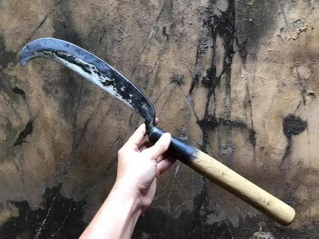 Nghi án con trai tâm thần cầm rựa chém mẹ ruột tử vong-1