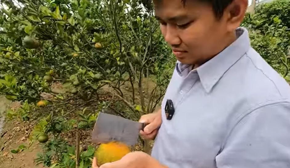 Triệu phú đô la Vương Phạm về nước, hé lộ cơ ngơi ở Củ Chi-13