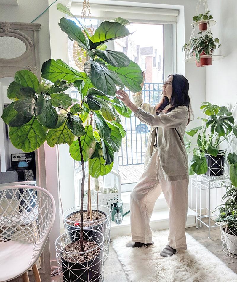 6 cách xả xui, tăng cường dương khí bình an đón tháng 7 cô hồn-3