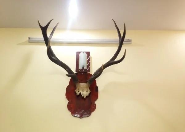 6 món đồ để phòng khách Thần Tài quay lưng, tiền quanh năm rỗng-5