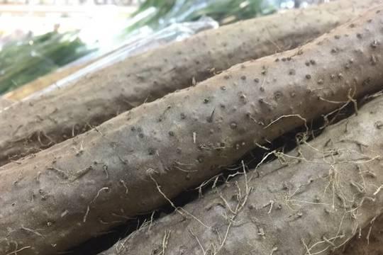 5 thực phẩm được mệnh danh vua bổ thận tráng dương-2