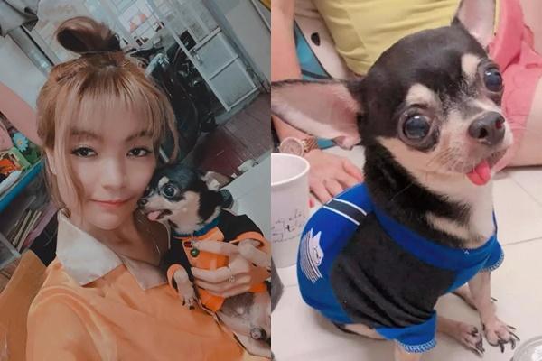 Bà xã tiết lộ Mạc Văn Khoa gặp vận xui ở Hải Dương-3