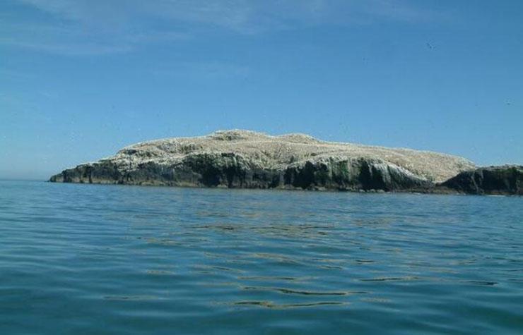 Hòn đảo bốc mùi nhất thế giới, chỉ có chim mới dám ở-2