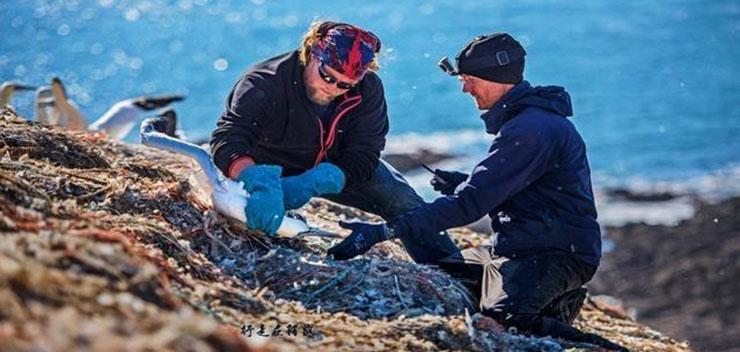 Hòn đảo bốc mùi nhất thế giới, chỉ có chim mới dám ở-6