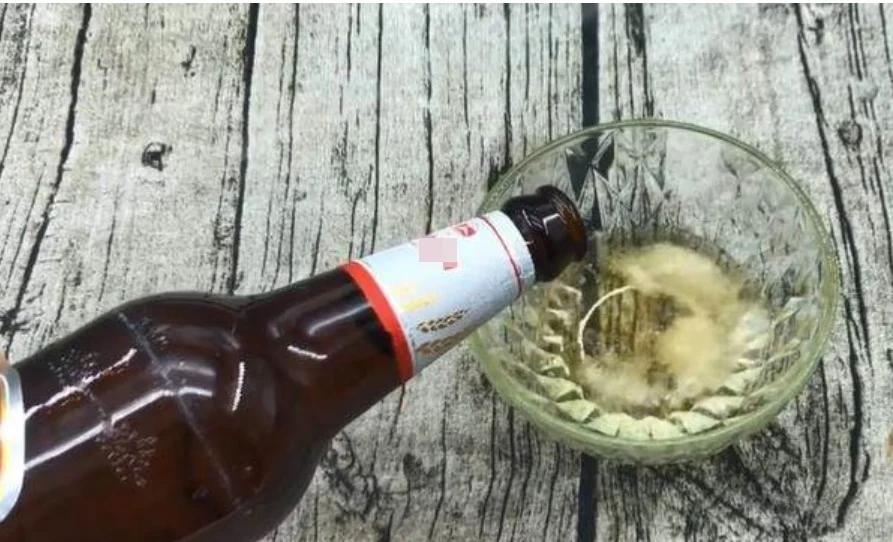 Uống bia thừa đừng đổ đi, cho thêm một thứ hạ cả trăm con gián-2