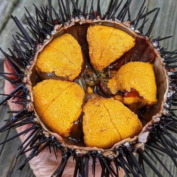 Đặc sản nhìn nổi da gà giá chát vẫn hút nhà giàu Việt-8