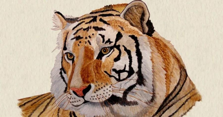 4 con giáp cá chép hóa rồng, tiền vào như nước từ 2023 đến 2031-1