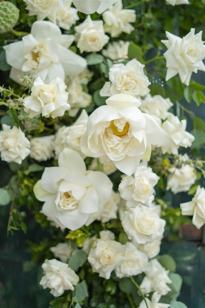 Đám hỏi sen đẳng cấp nức nở: Độ kỳ công, chi phí và lời cảm thán lạ-5