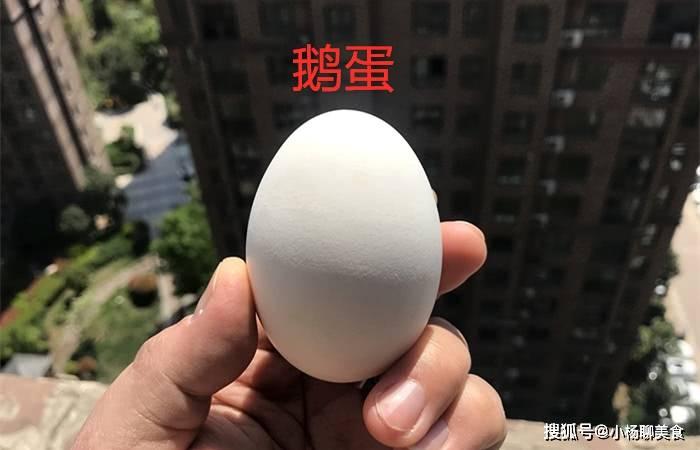 Dinh dưỡng của trứng gà, trứng vịt và trứng ngỗng có gì khác nhau?-3