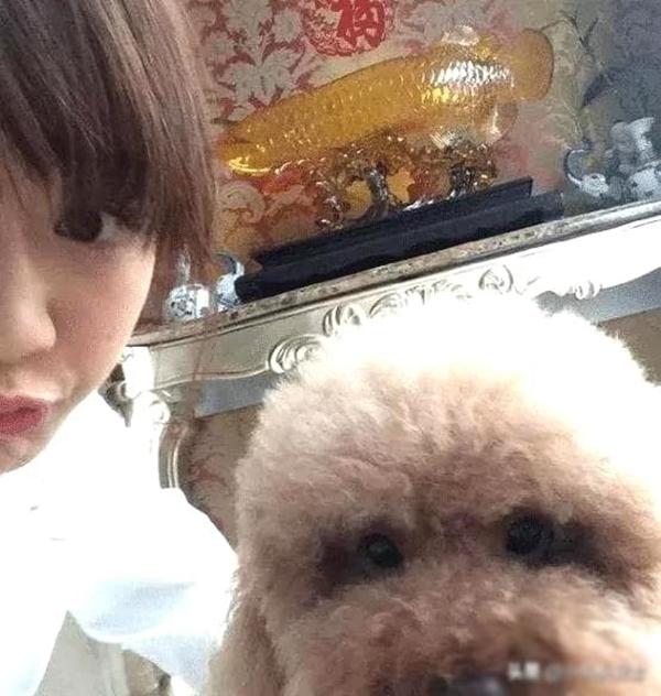 Biệt thự Dương Tử đẹp như lâu đài, trị giá hơn 140 tỷ đồng-7