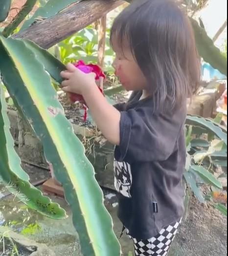 Bé gái ăn vụng thanh long: Đúng là không đẻ con gái đời không nể!-2