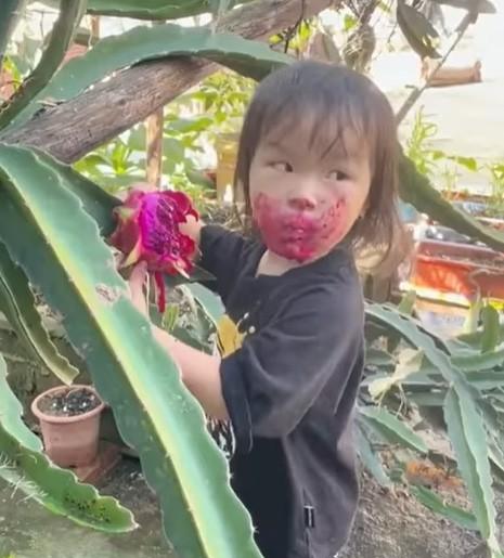 Bé gái ăn vụng thanh long: Đúng là không đẻ con gái đời không nể!-3